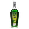 Сироп Gedonia  Зеленое яблоко
